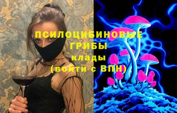 твердый Абинск