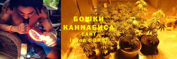 ГАЛЛЮЦИНОГЕННЫЕ ГРИБЫ Алексеевка