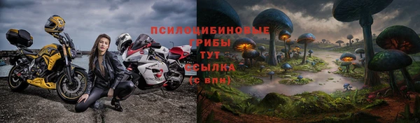 ГАЛЛЮЦИНОГЕННЫЕ ГРИБЫ Алексеевка